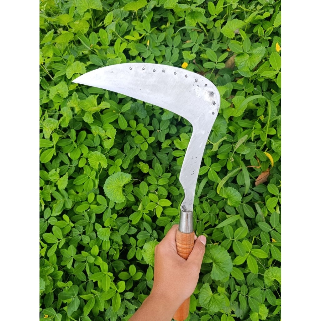 arit rumput baja isen lapis 5 asli wonosobo