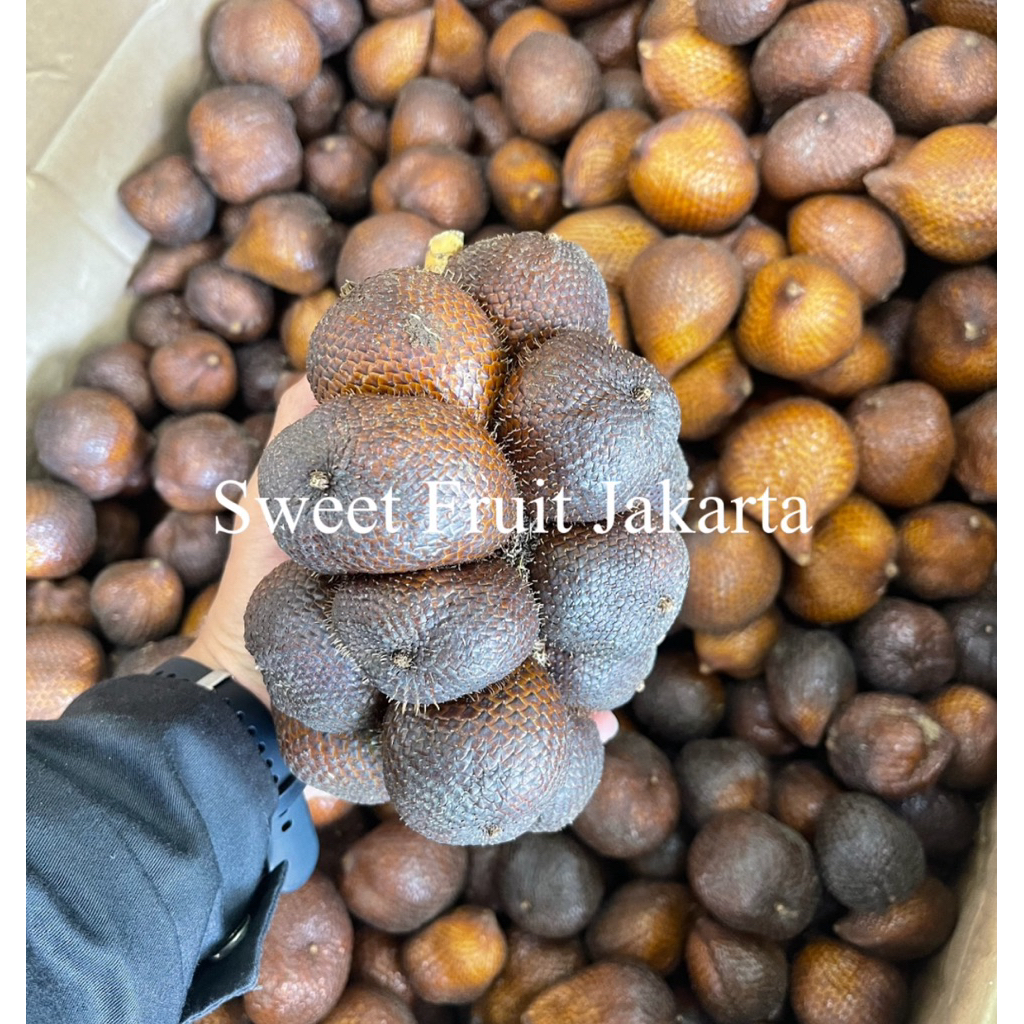 Salak Gula Pasir Bali Super Manis Fresh 1kg