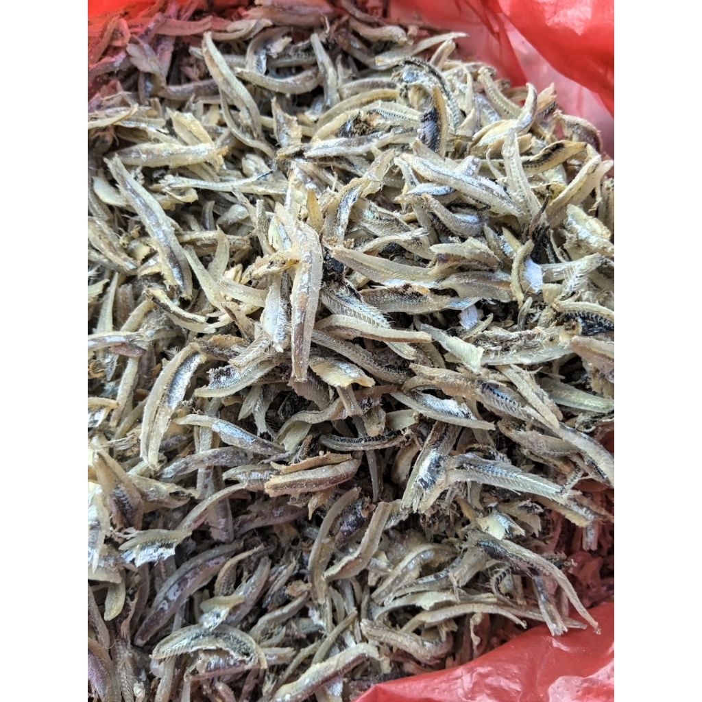ikann teri belah tanjung balai