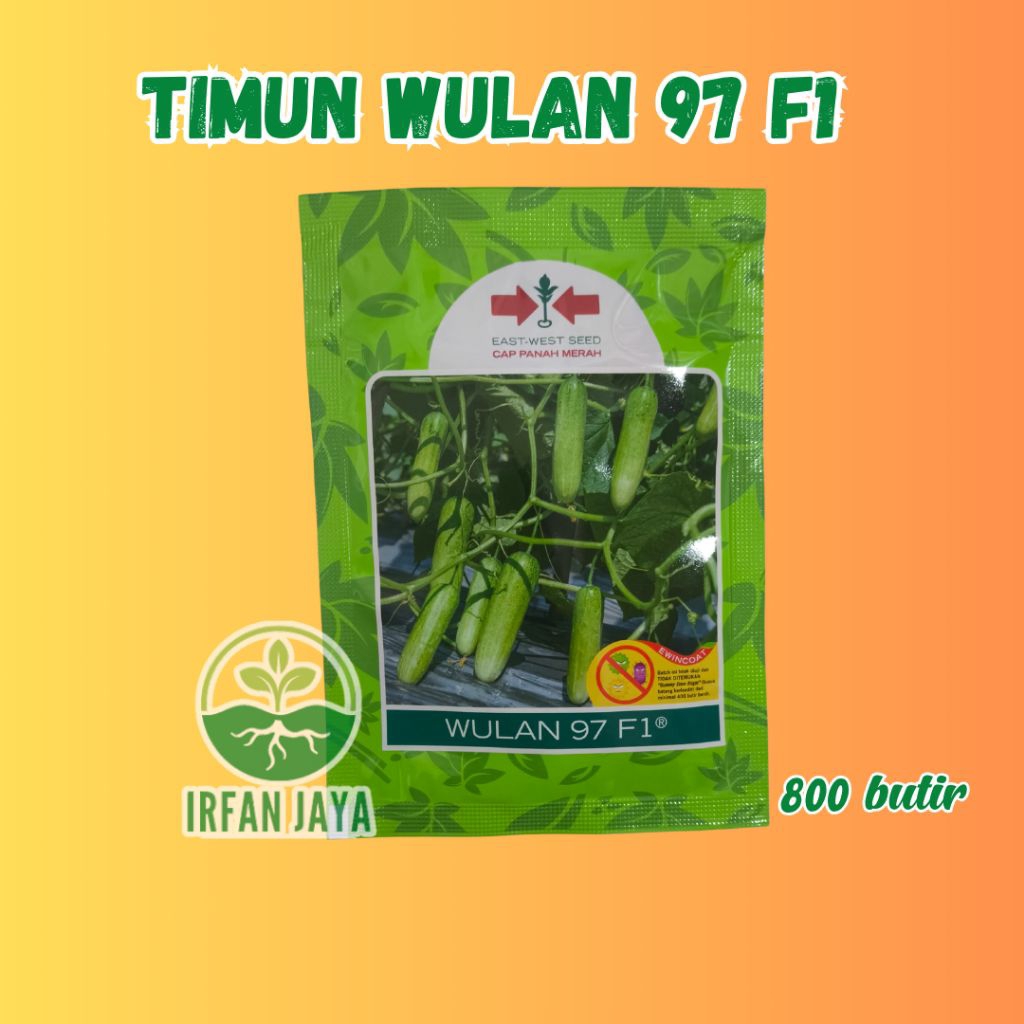 Benih Timun wulan 97 f1 panah merah 800butir - panah merah - timun wulan 97