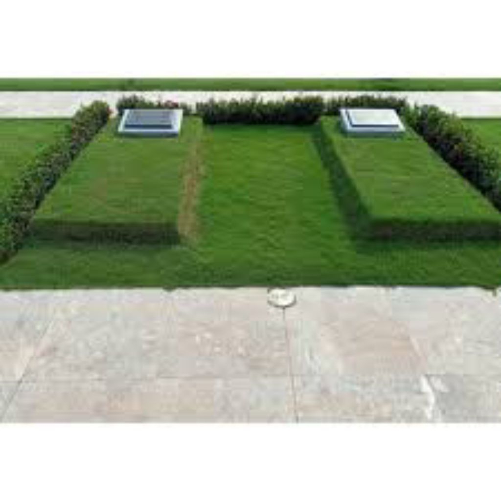 rumput jepang segar paket buat 1 makam