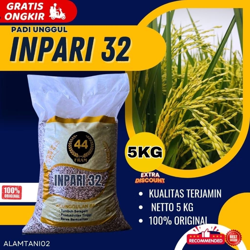 Benih Padi Bibit Padi Unggul Inpari 32 Jumbo Kemasan 5 kg Original