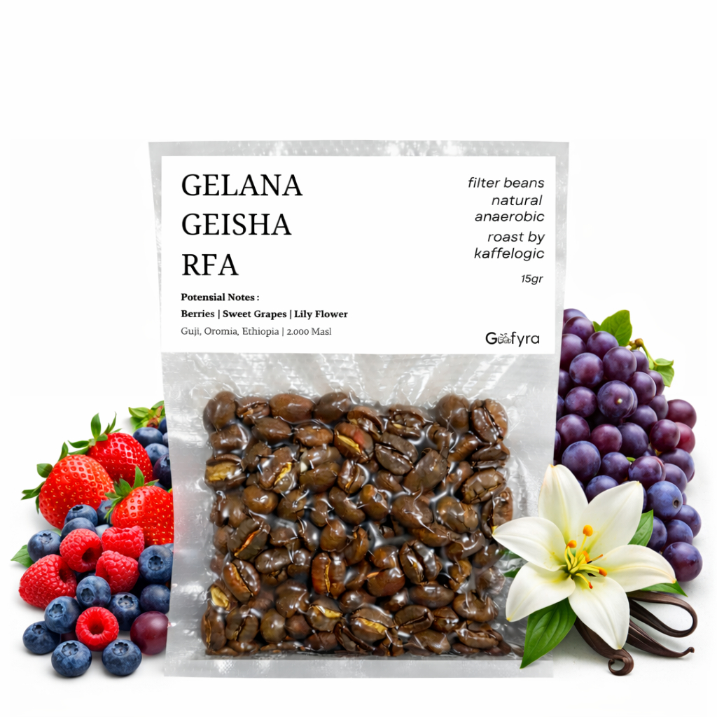 Gefyra Filter Beans Single Brew 15 Gr | Ethiopia Gelana Geisha Natural Anaerobic | Beans Arabica | K