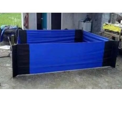 Ring Arena Aduan Ayam/Geber Ayam Aduan Ring arena saat Abar ayam