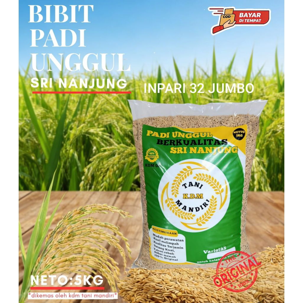 BIBIT PADI BENIH PADI inpari 32 jumbo KEMASAN 5 KG BIBIT PADI SUPER UNGGUL