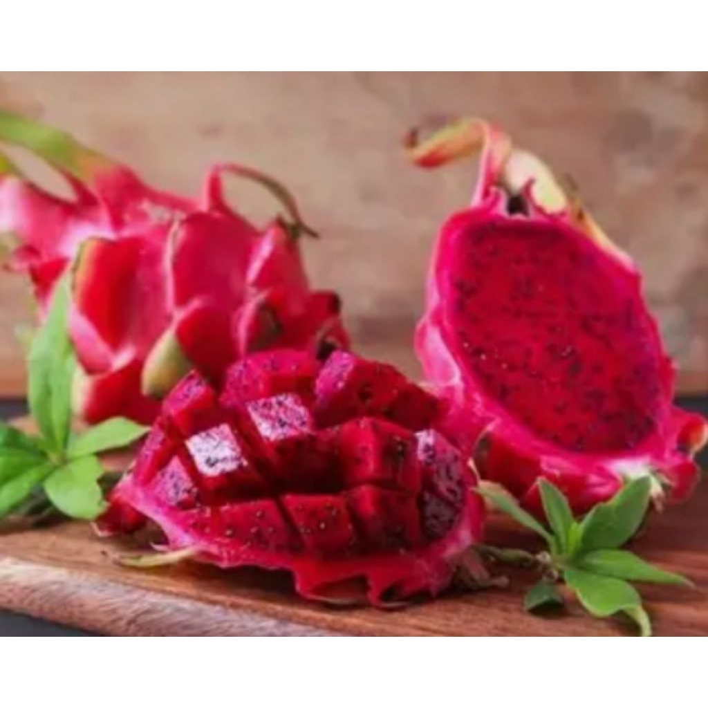 Buah naga merah 1 kg