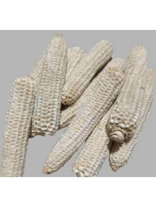 Bonggol Jagung Kering - Janggel Jagung - Tongkol Jagung - Bahan Multifungsi & Ramah Lingkungan