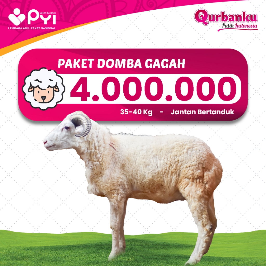 Qurban 2026/1447 H - Qurban Domba Gagah Premium Domba jantan bertanduk 35-40 KG