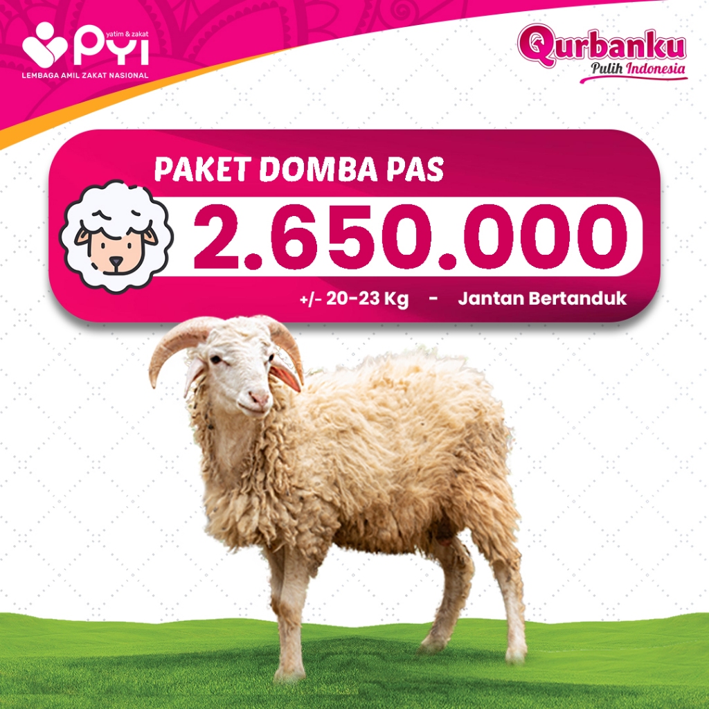 Qurban 2026/1447 H - Domba Pass Domba Jantan Bertanduk Harga Hemat Hewan Qurban Murah Paket Qurban M