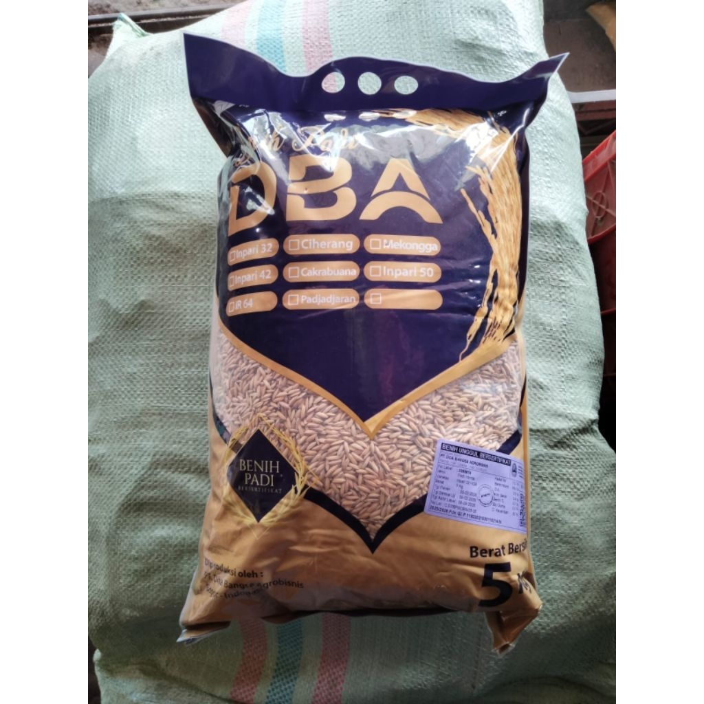 BENIH PADI INPARI 32 PREMIUM 5kg LABEL UNGU