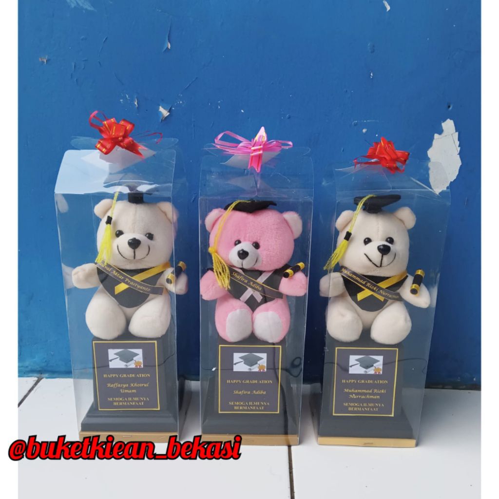 piala wisuda/ piala boneka wisuda/ trophy wisuda/ buket boneka wisuda