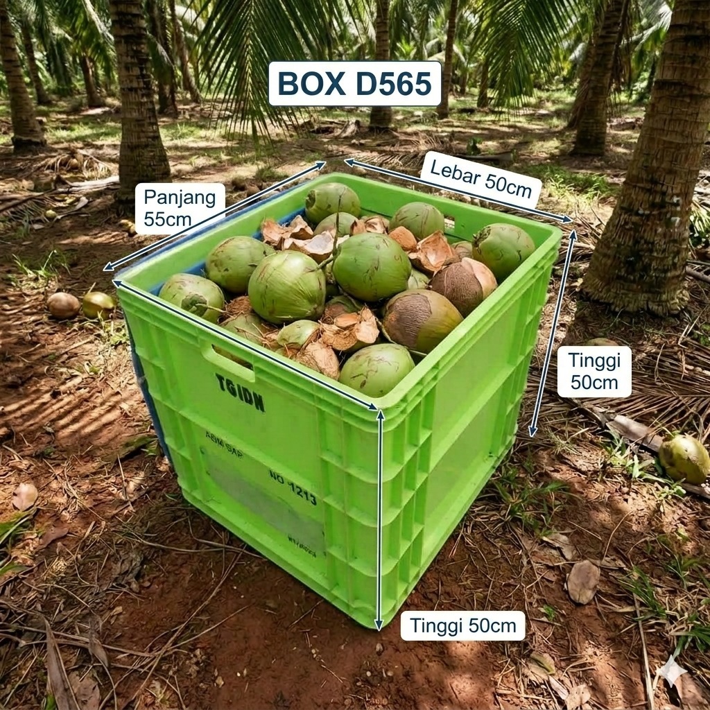 WARNA RANDOM Box kontainer d565 Bak penyimpanan kelapa box plastik Besar