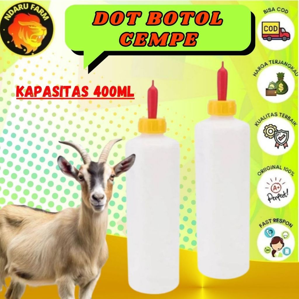 DOT BOTOL CEMPE DOT ANAK KAMBING DOMBA NDARUFRAM