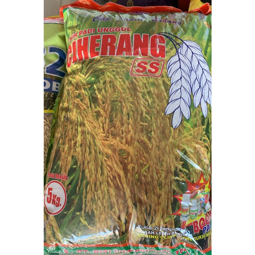 Benih padi unggul ciherang 5kg bisi-exp 20 mei 2026