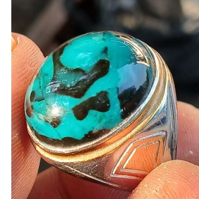 Bacan Doko Majiko Asli Kualitas Super Harga Murah