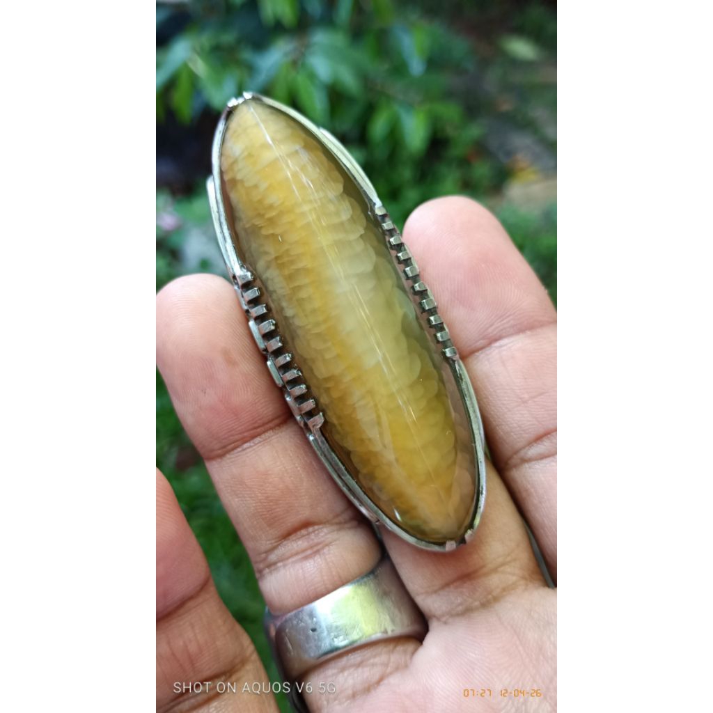 batu akik pandan nanas lumut jumbo