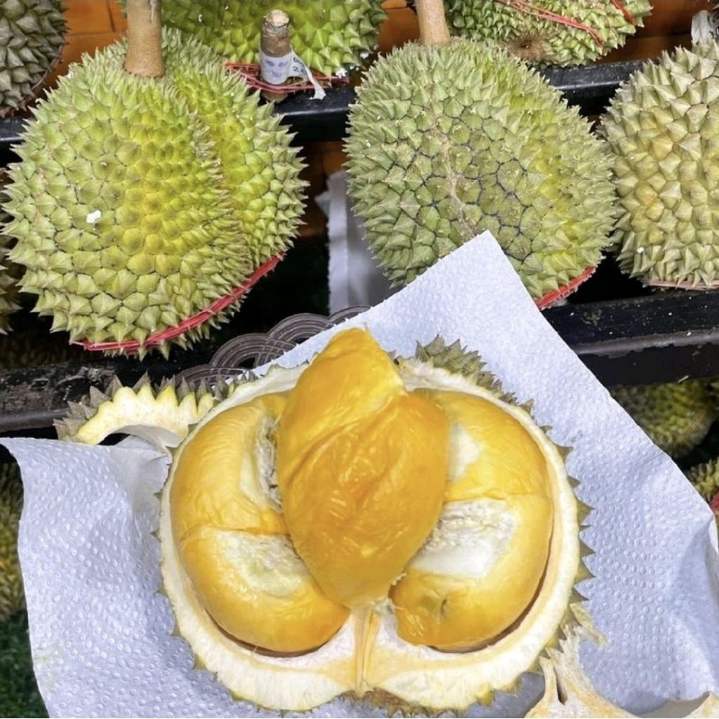 Buah durian blackthorn super fresh utuh durian hitam blackthorn utuh -+1,8 kg