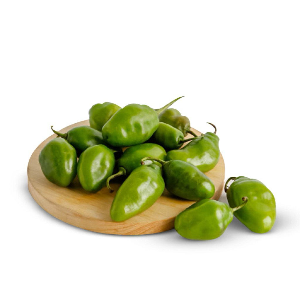 Cabe Gendot Segar 100gr | Cabe Habanero Lokal Pedas Nampol | Fresh Petik Ciwidey | Bisa COD