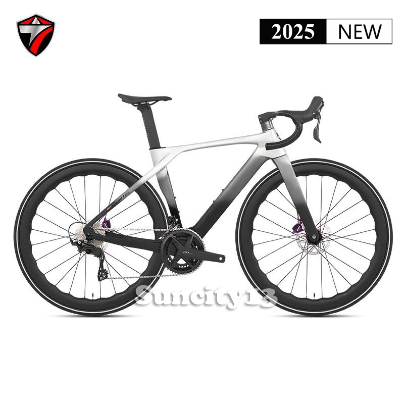 Twitter T10 Pro Full Carbon 24 Speed FULL HYDRAULIC Roadbike Sepeda Balap Roadbike
