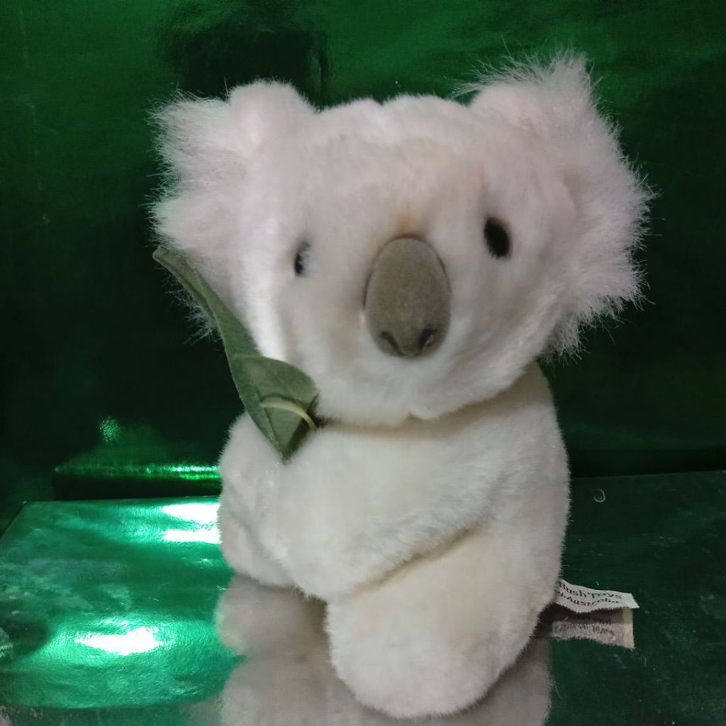 boneka pl koala putih imut