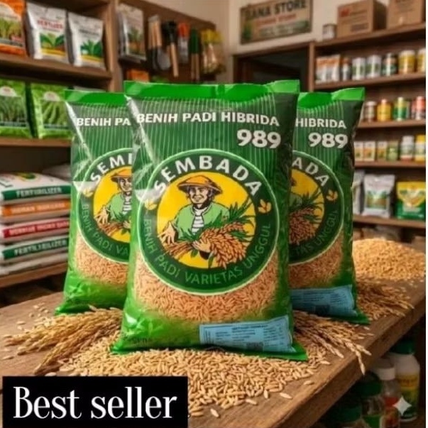 1KG Benih padi sembada 989 HIBRIDA berkualitas