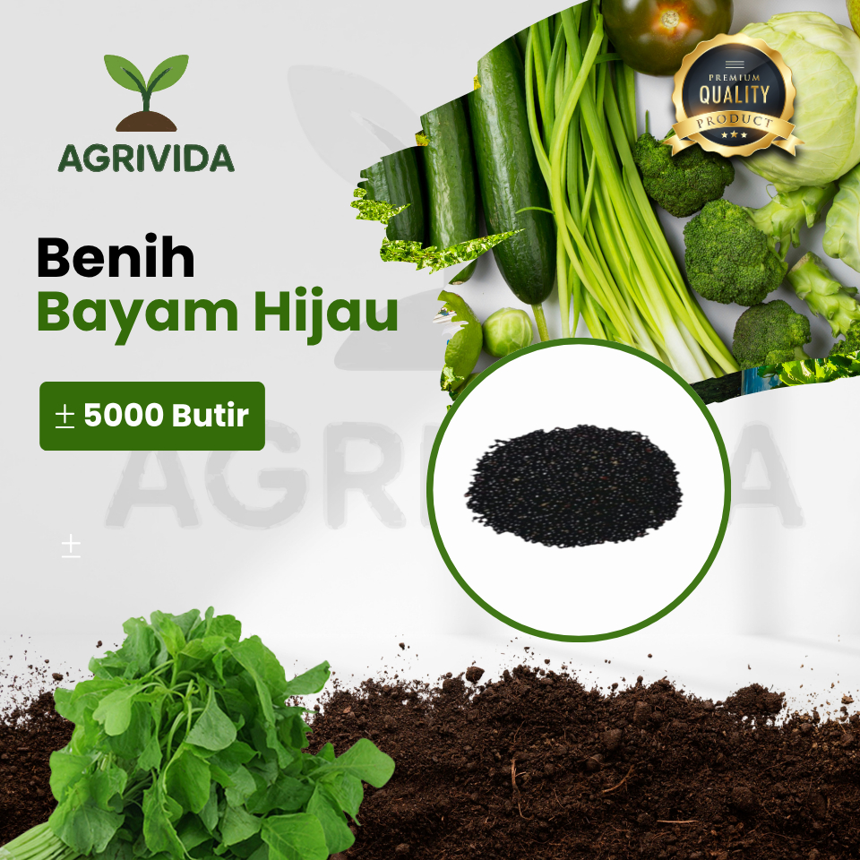 Benih Bayam Hijau isi 5000 Butir Benih tanaman pilihan