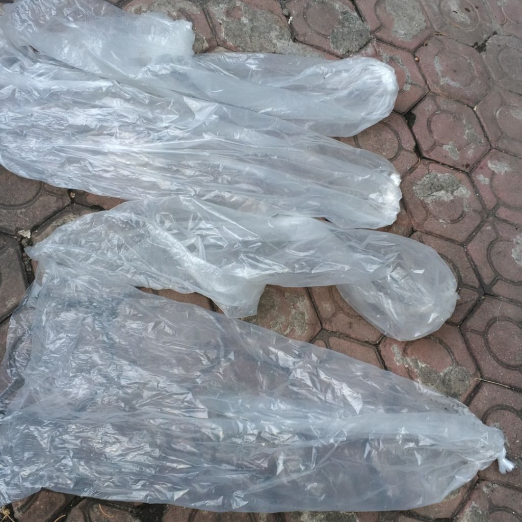 Plastik PE tebal bekas ikan 50x100 (perbiji)