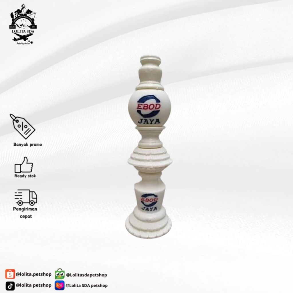 pion murai / pion sangkar burung Ebod Jaya ready