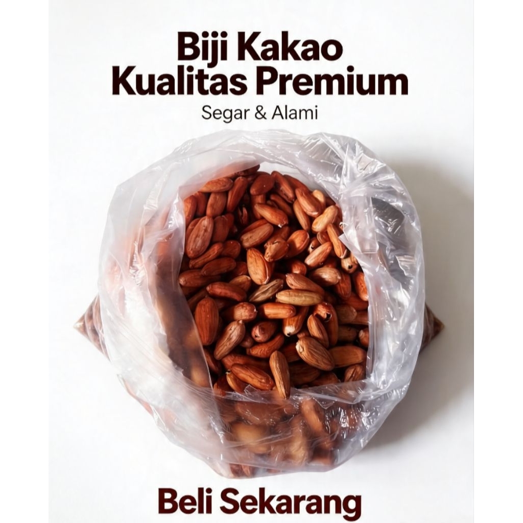 biji coklat kakao