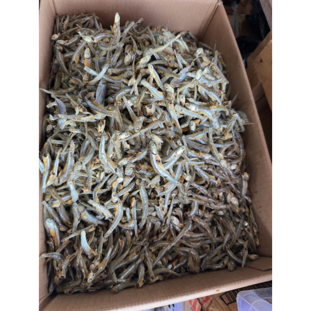 ikan teri khas kalimantan barat
