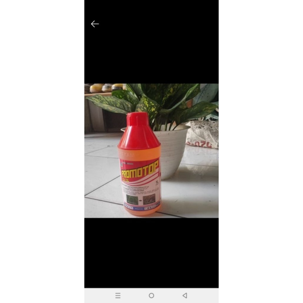 Racun rumput Promotop 531 SL 1 Liter