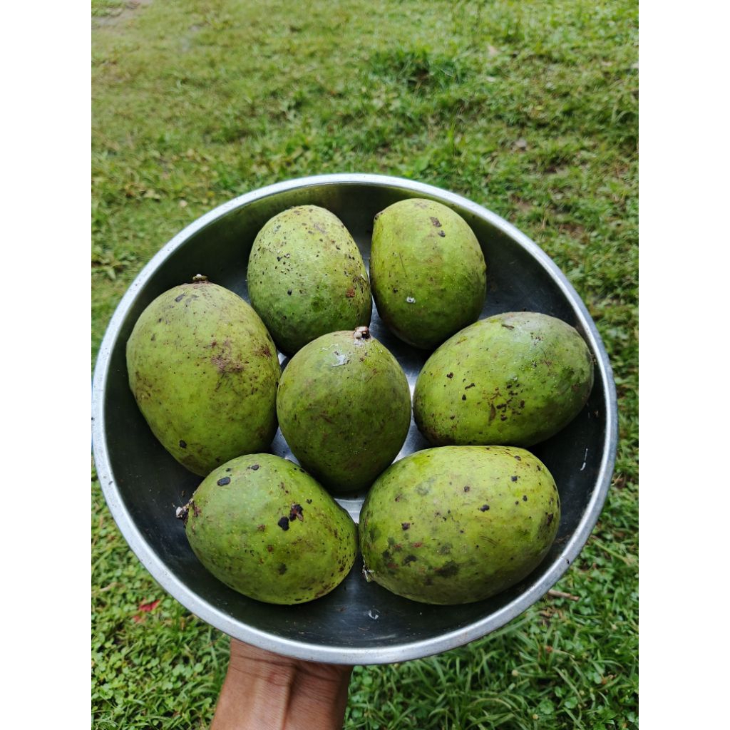 Buah pakel segar 1kg/mangga pakel limus terlaris