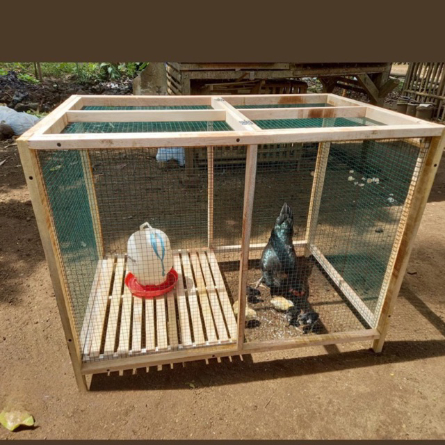 kandang ayam umbaran