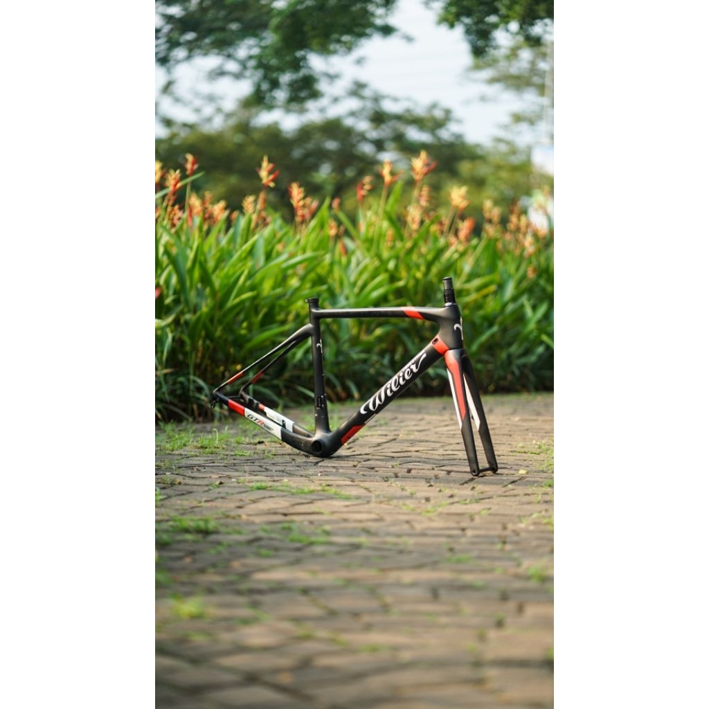 Frameset Wilier Triestina