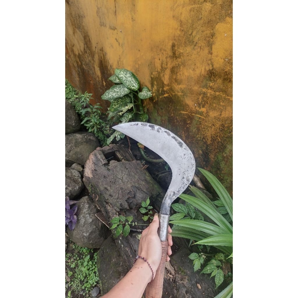 Arit isen Wonosobo | Arit isen model Banyuwangi | Arit isen Banyuwangi