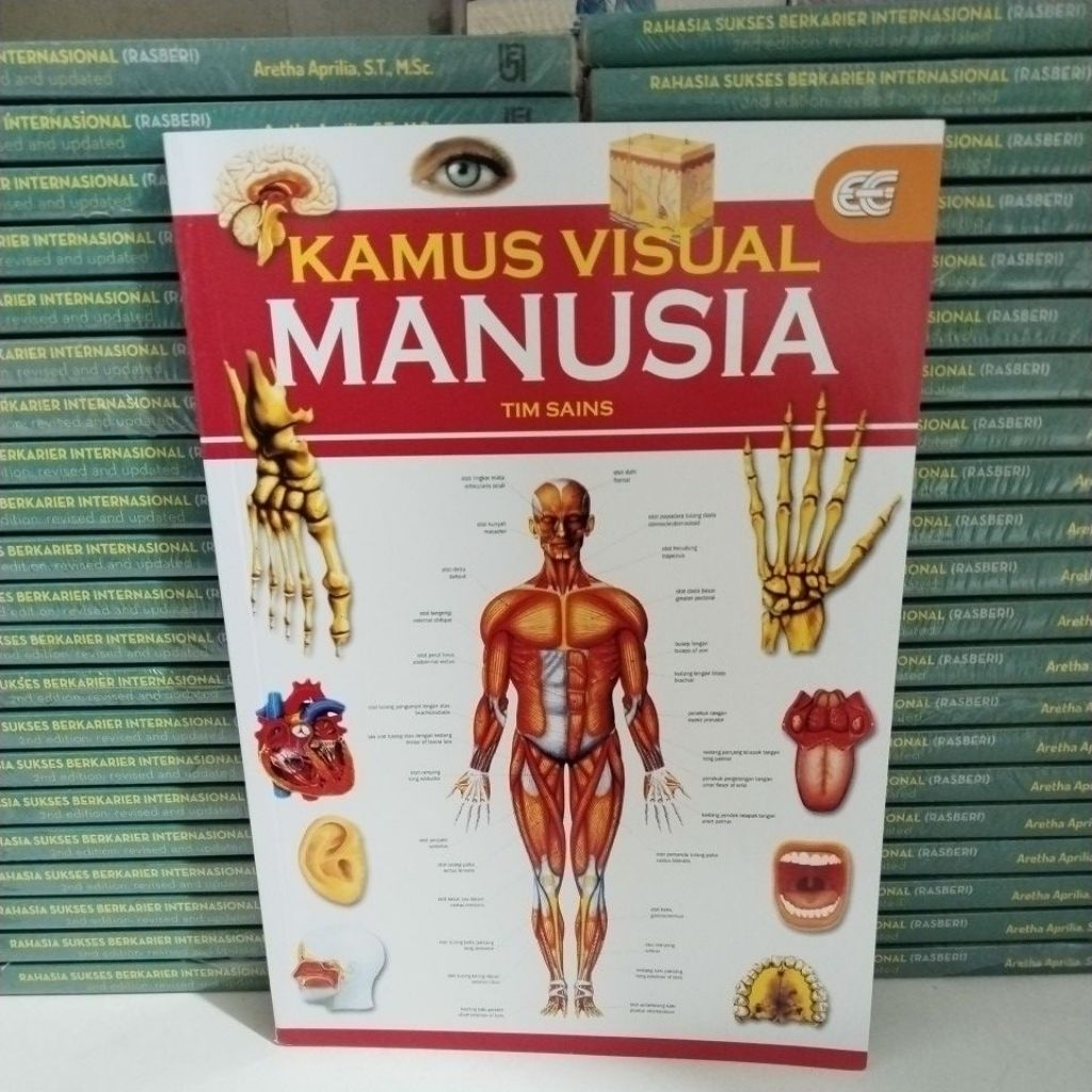 KAMUS VISUAL MANUSIA