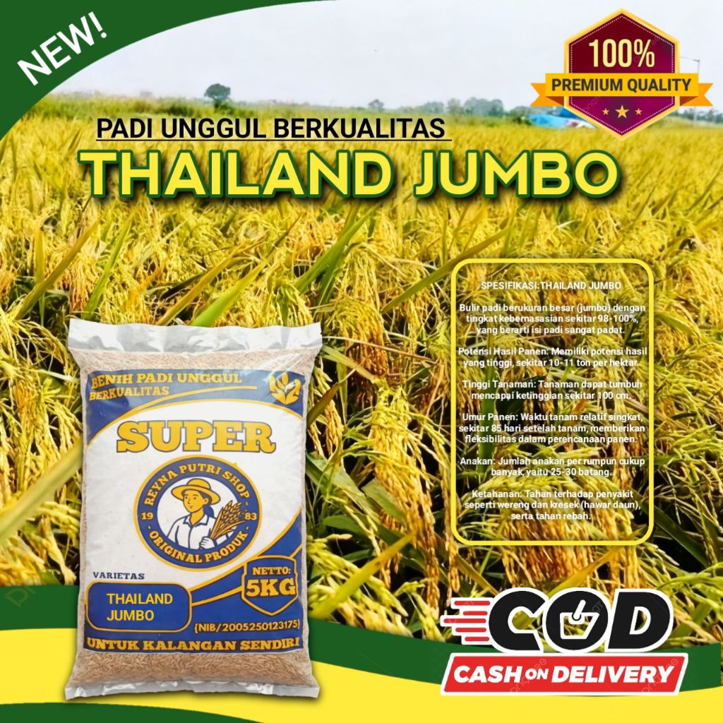 benih padi thailand jumbo original 5kg