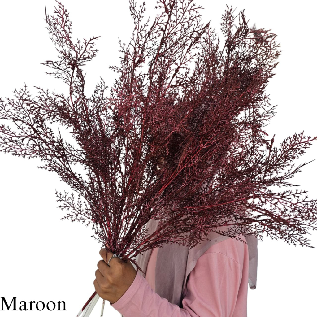 Daun Cemara Asparagus Tangkai Panjang/ Artificial Smoke Bush