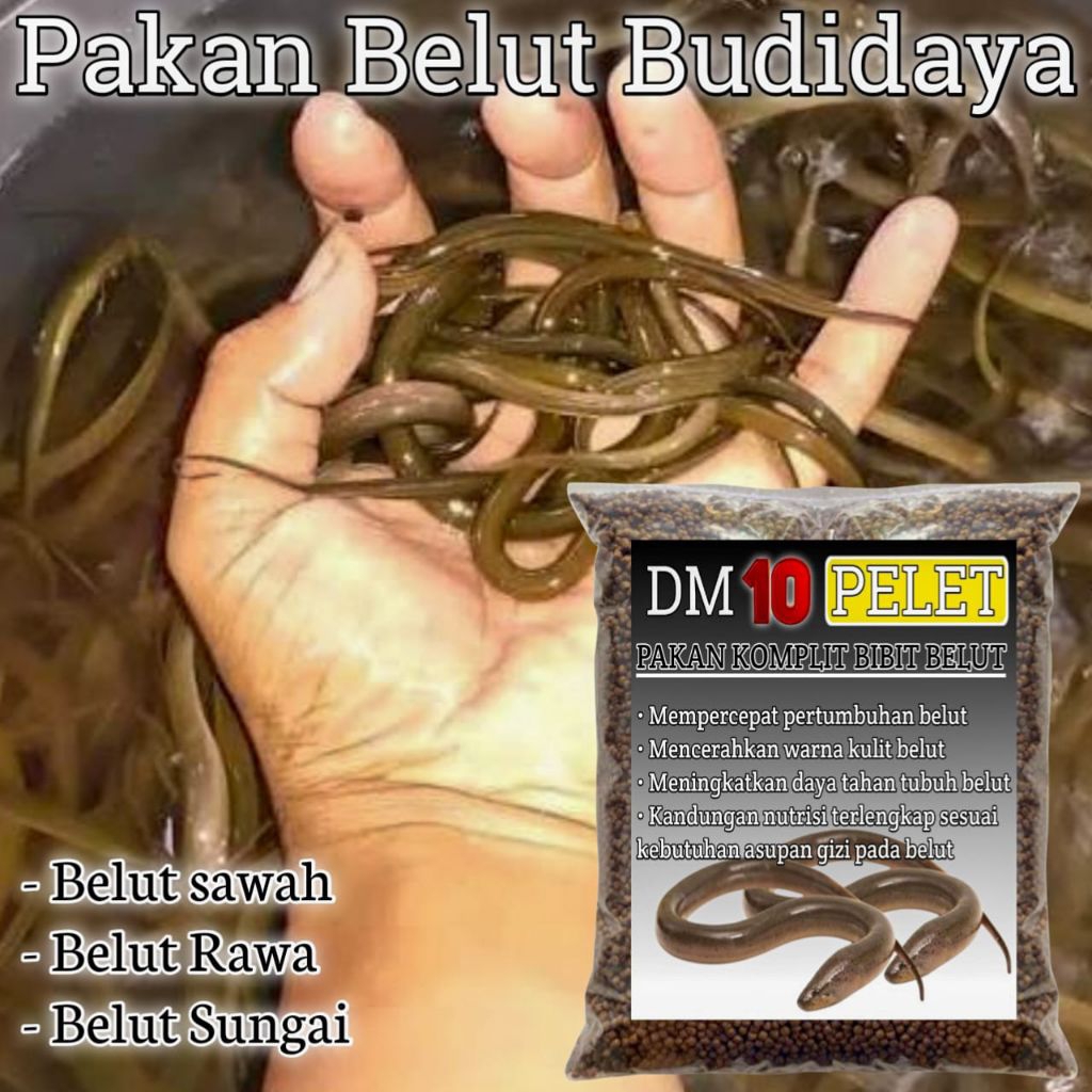 Pelet pakan belut ternak isi 400 gram