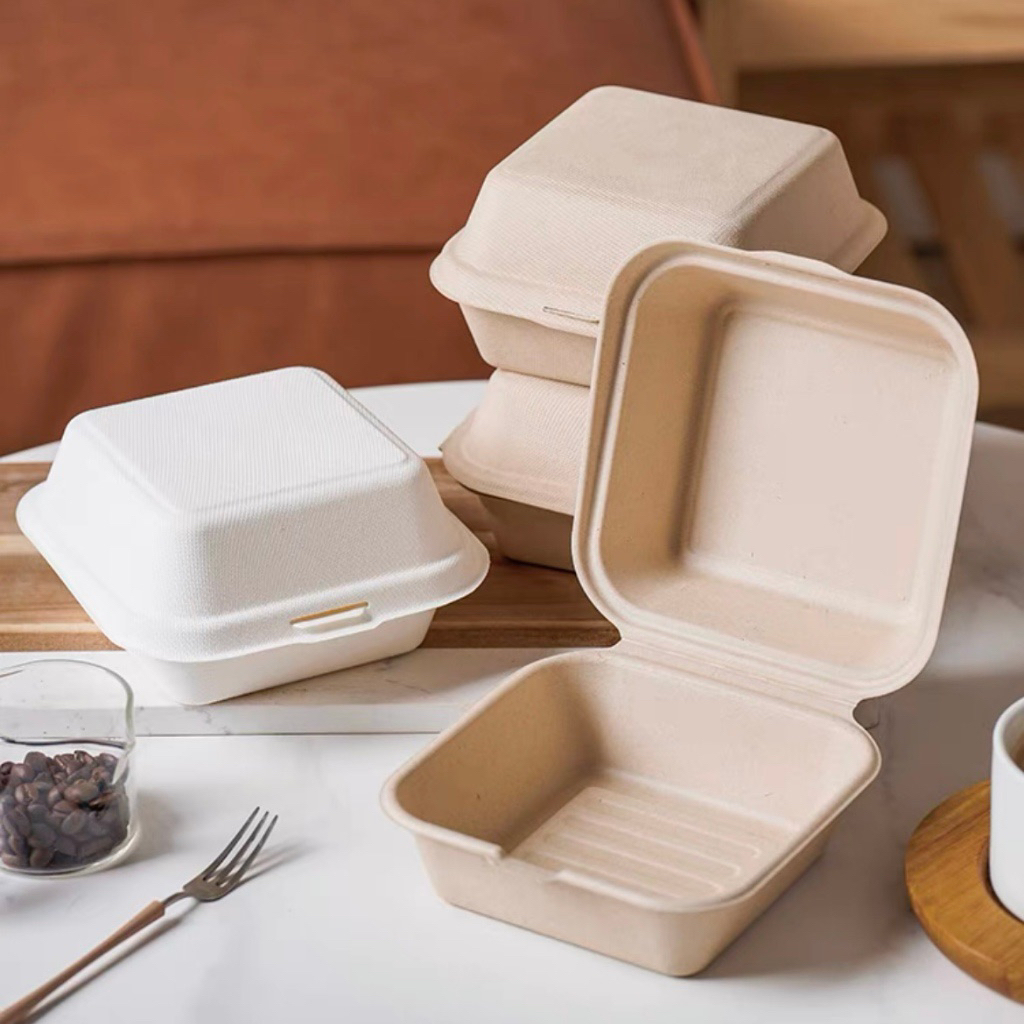 bagasse box bentto cake / burger box ~ Korean cake lunch box
