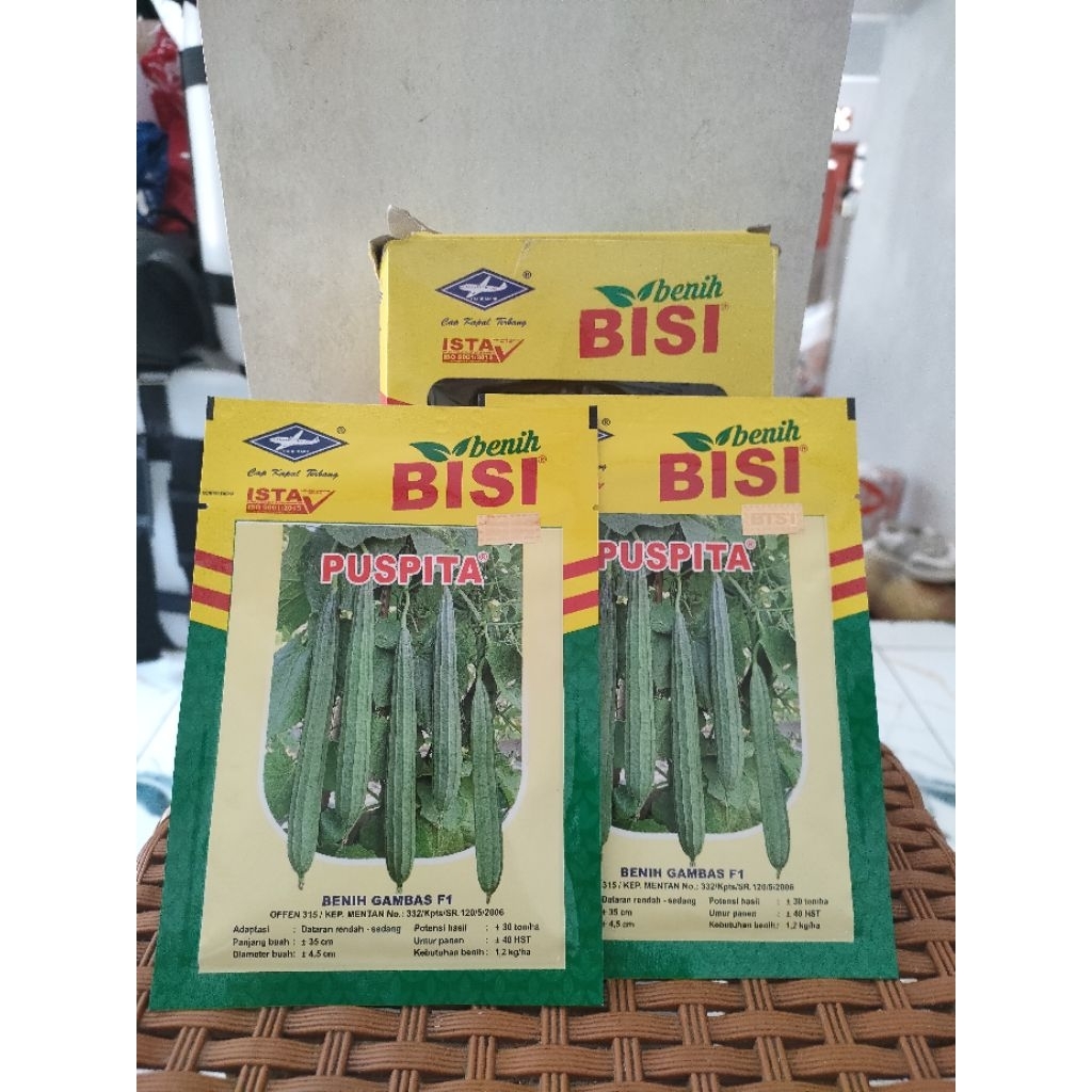 Benih gambas F1 Puspita kapal terbang | 10 gram