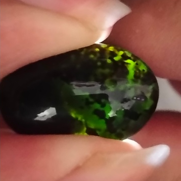 Bacan Doko Coklat