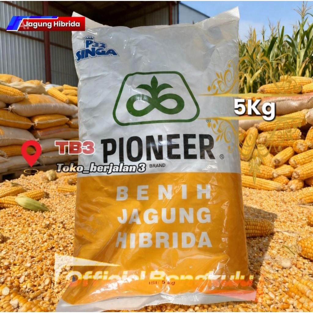 Benih Jagung Hibrida PIONER P32 SINGA 5Kg