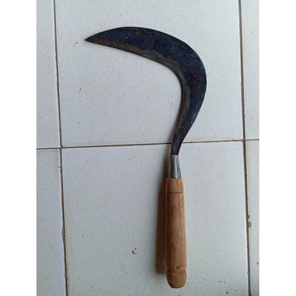 Sabit / Arit Baja Per Cap MATA