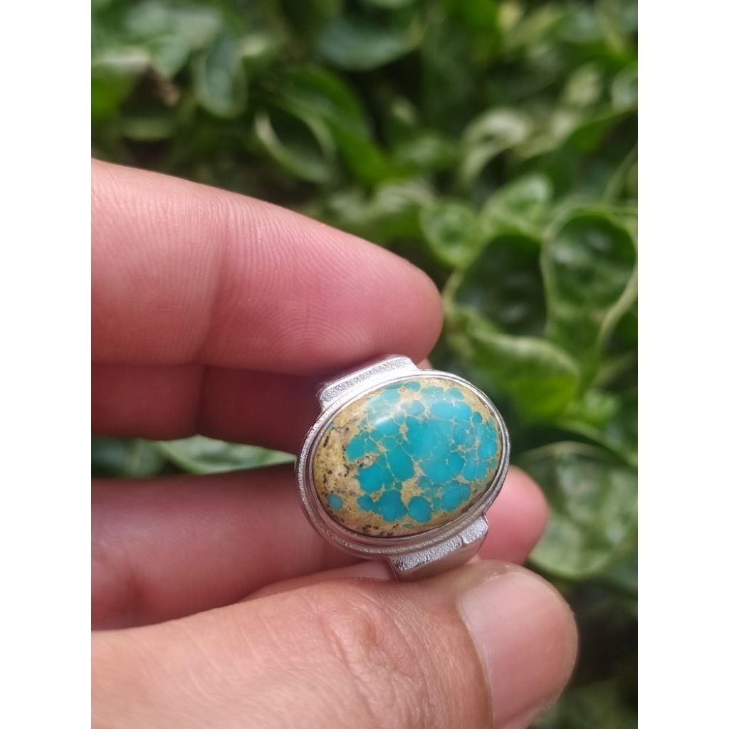 Pirus Persia Urat emas