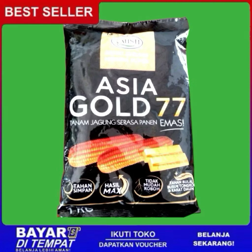 Benih Jagung asia gold 77 Hibrida Bisi2 kemasan 1kg bibit jagung bisi 2