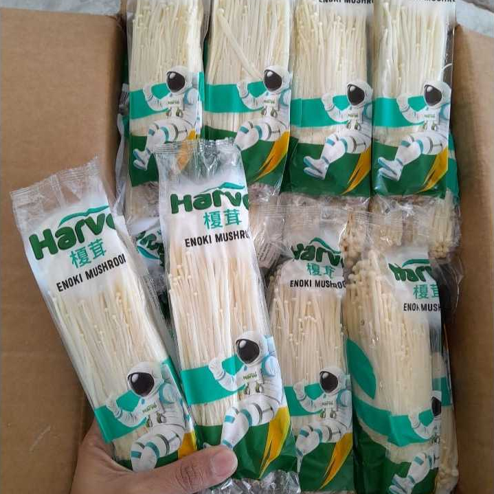 Enoki Mushroom China (Box)
