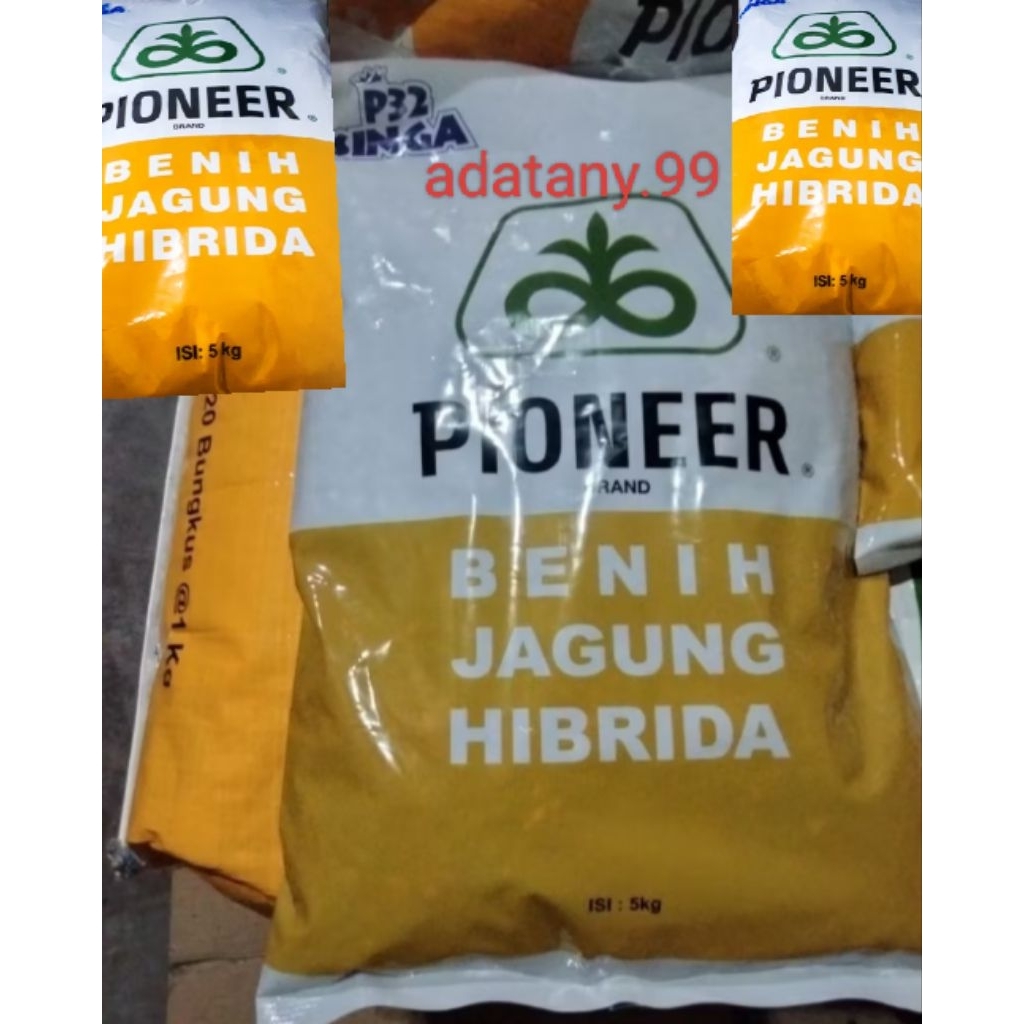 Benih jagung Pioneer P32 singa original 5kg