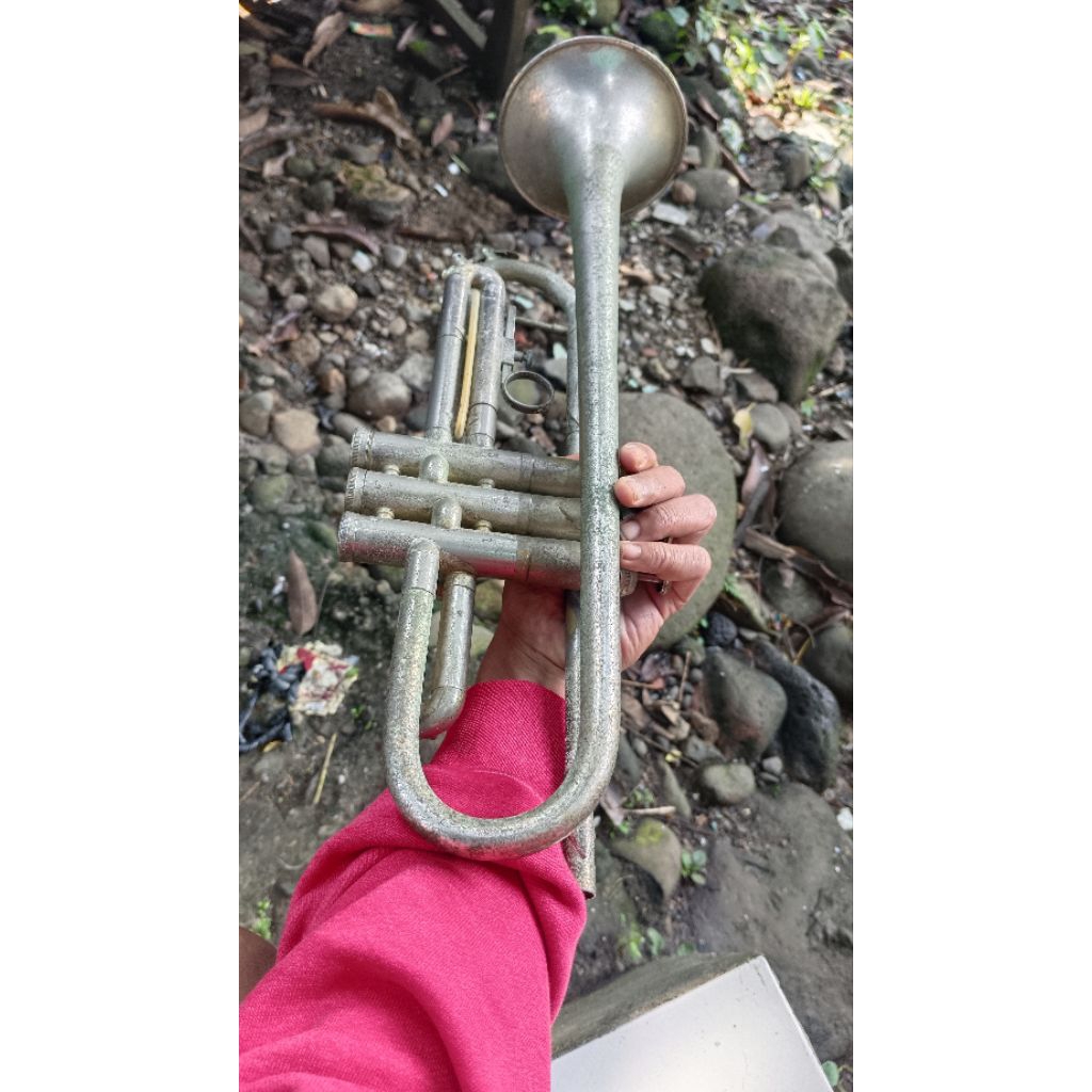 trumpet weril