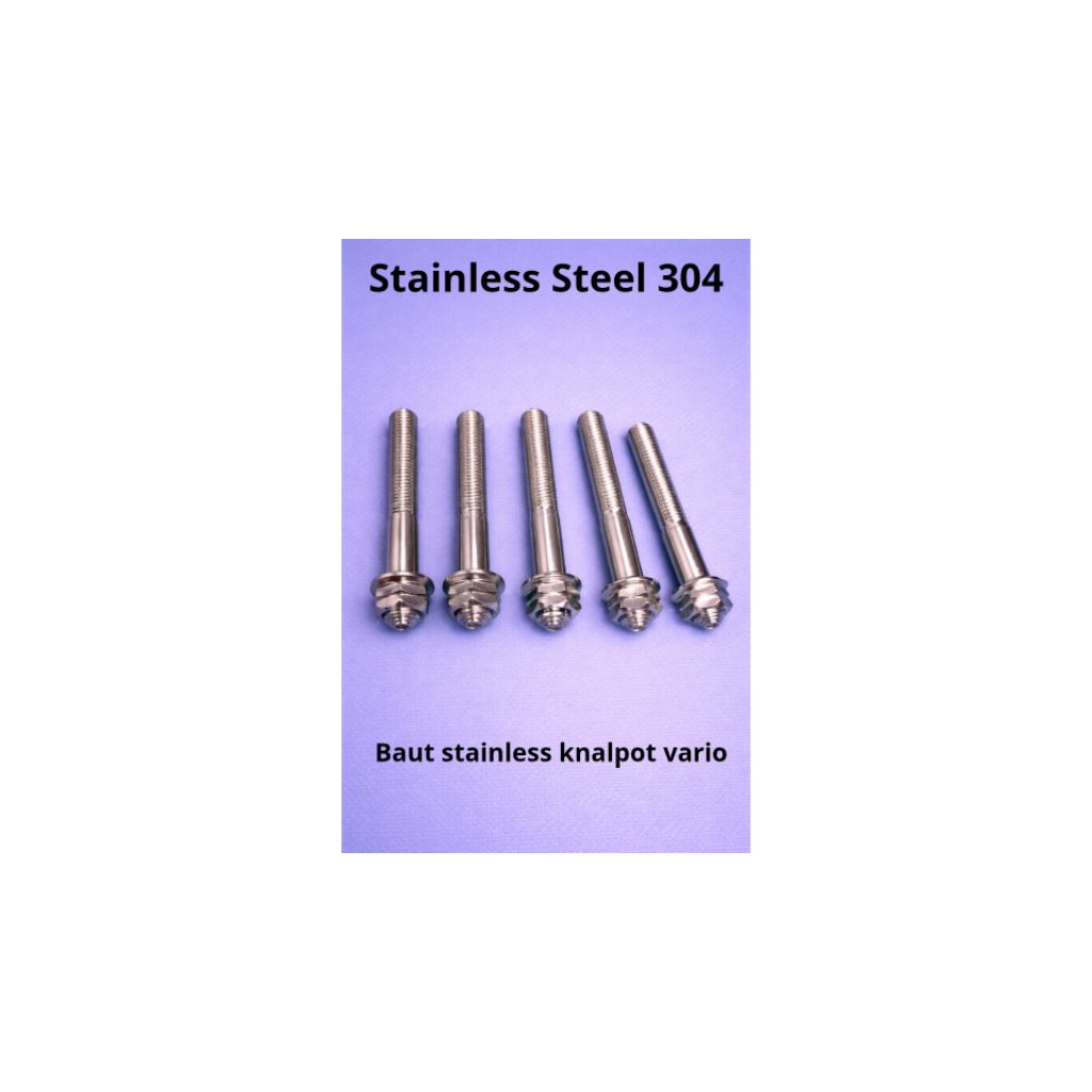 BAUT STAINLESS KNALPOT VARIO